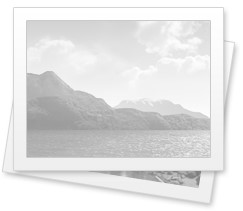 Our approach to creating a virtual livestock and poultry exhibition